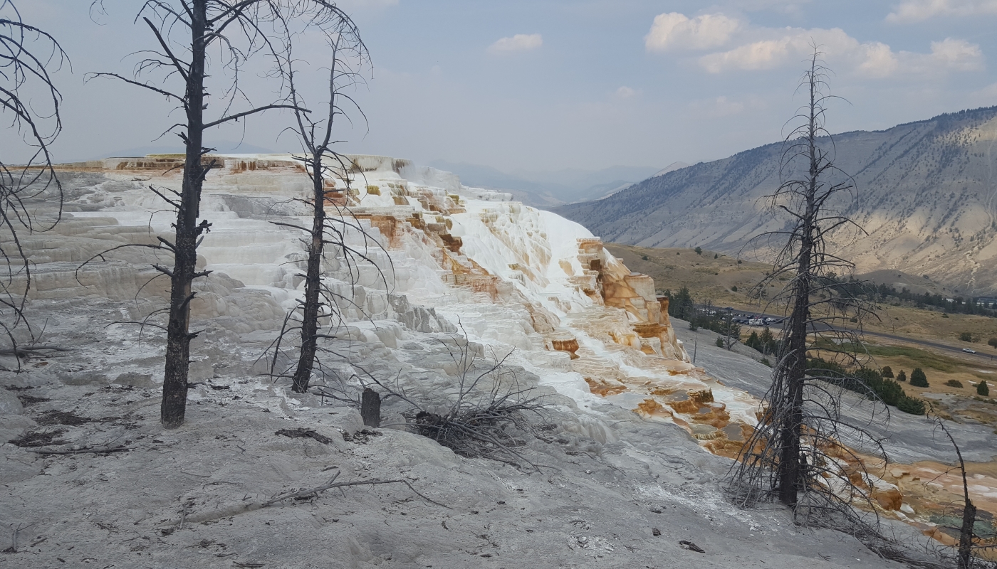 Yellowstone NP