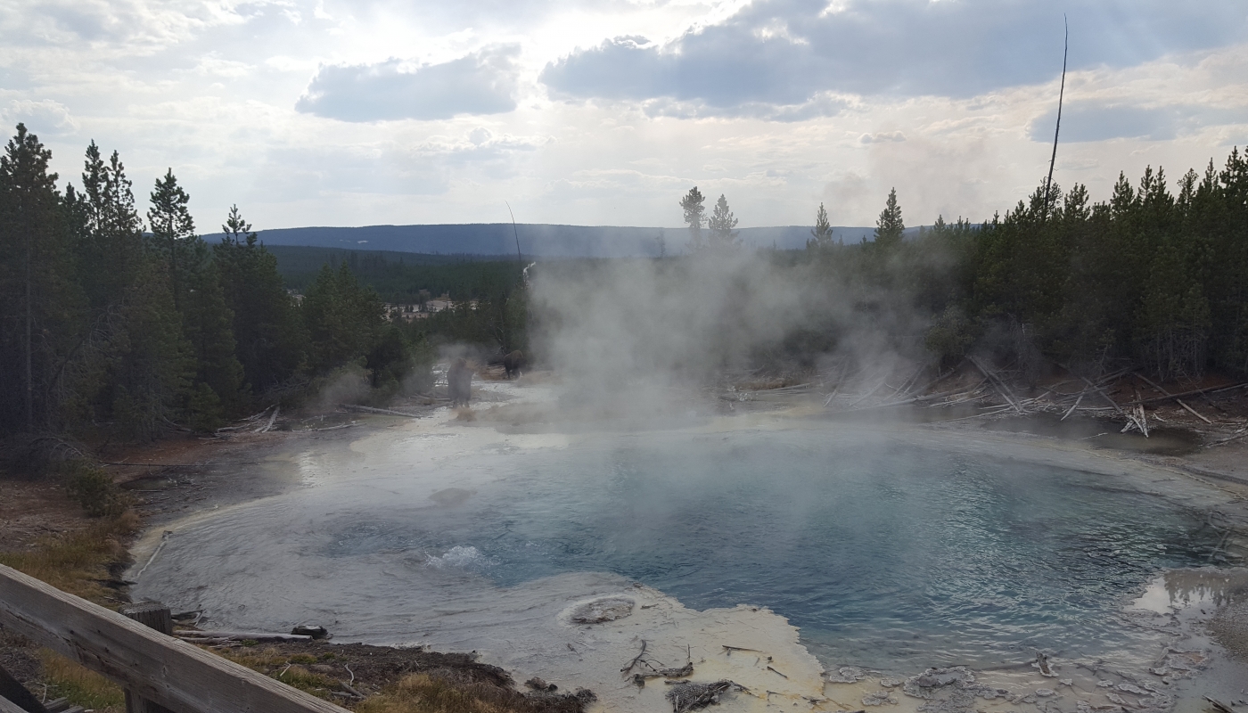 Yellowstone NP