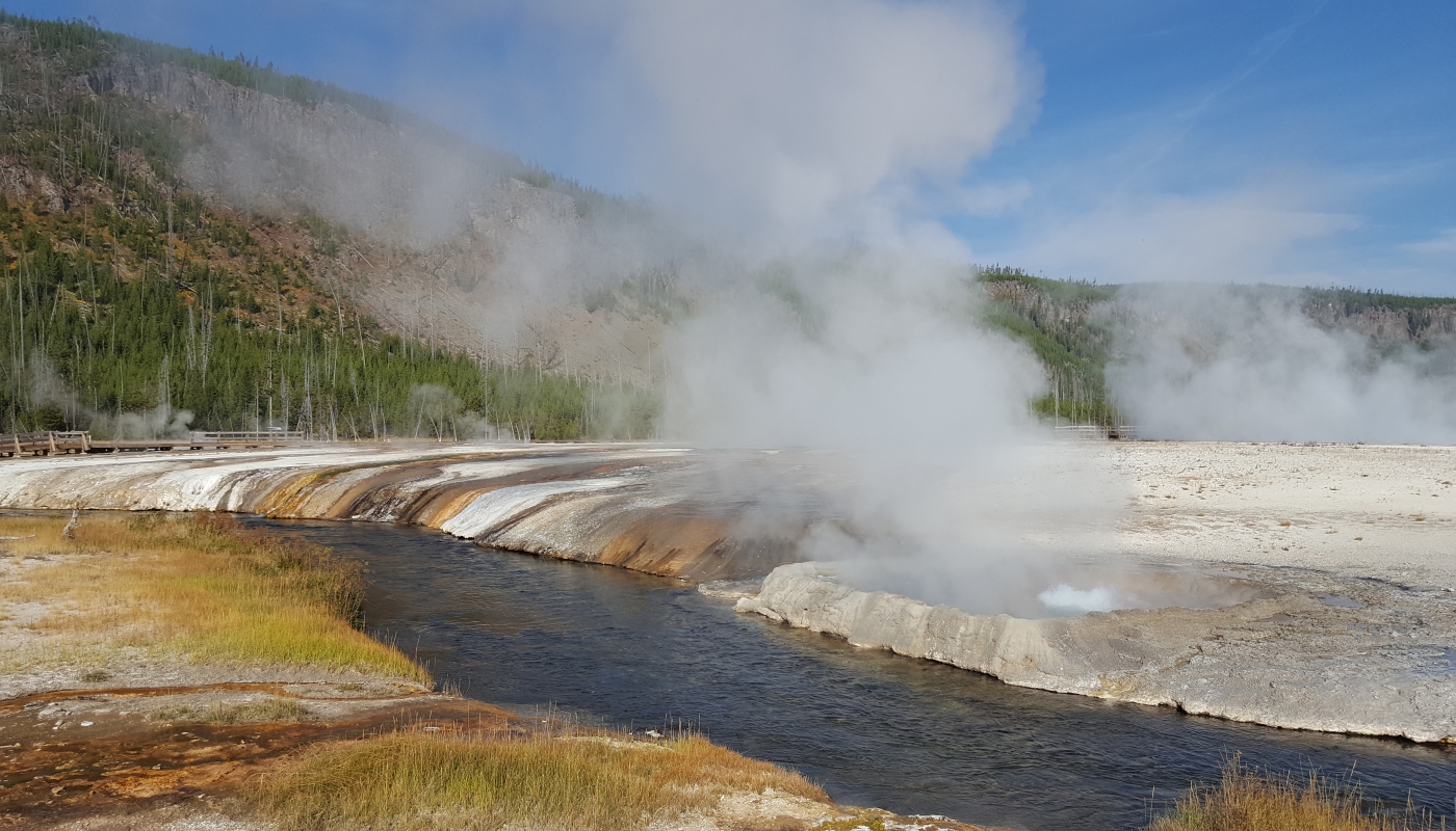 Yellowstone NP