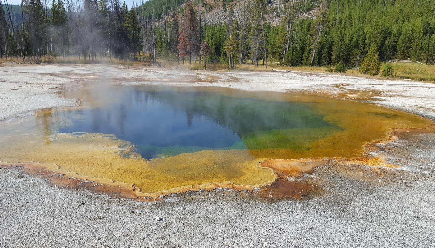 Yellowstone NP