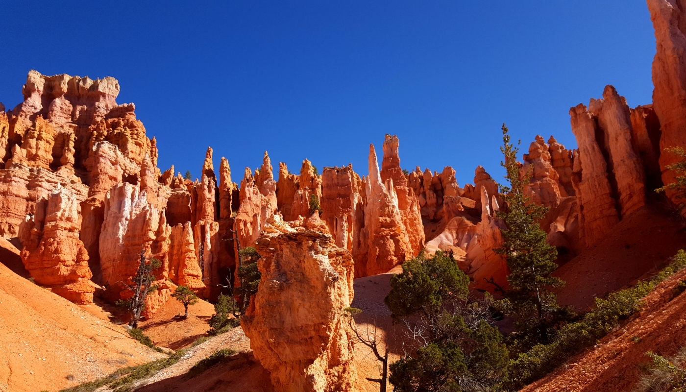 Bryce canyon NP