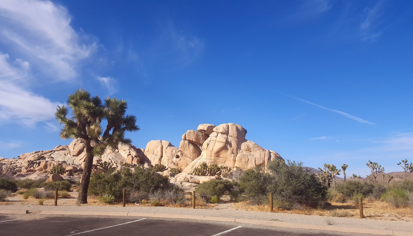 Joshua Tree Np, Amerika zájezdy