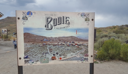 Bodie