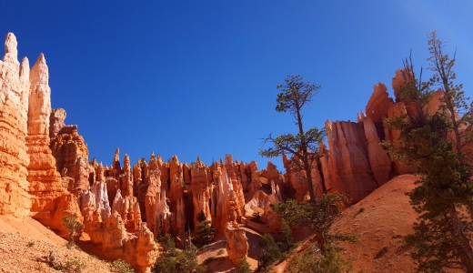 Bryce Canyon, zájezdy do USA